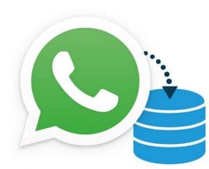 Whatsapp we chat in Warsaw
